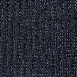 Picture of Philadelphia Commercial by Shaw - SPJ06 Morph