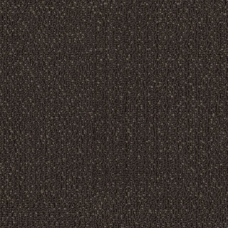 Picture of Philadelphia Commercial by Shaw - SPJ06 Alter