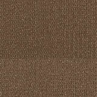 Picture of Philadelphia Commercial by Shaw - SPJ06 Evolve