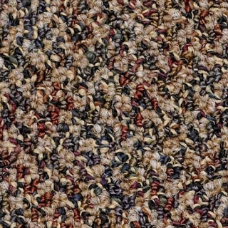 Picture of Philadelphia Commercial by Shaw - SP305 Lighten Up