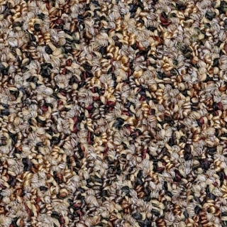 Picture of Philadelphia Commercial by Shaw - SP305 Get A Grip