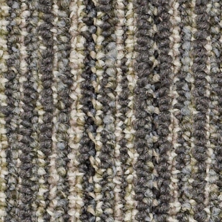 Picture of Philadelphia Commercial by Shaw - SP403 Pebble