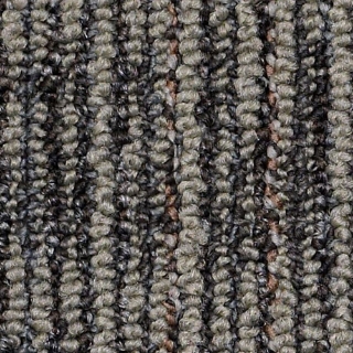 Picture of Philadelphia Commercial by Shaw - SP403 Graphite