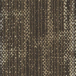 Picture of Philadelphia Commercial by Shaw - SP536 Embrace Strength