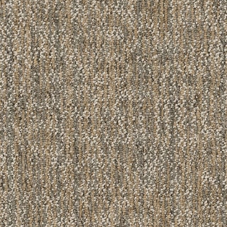 Picture of Philadelphia Commercial by Shaw - SP721 18 x 36 Astute