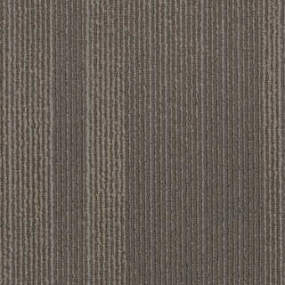 Picture of Philadelphia Commercial by Shaw - SP785 18 x 36 Brilliant