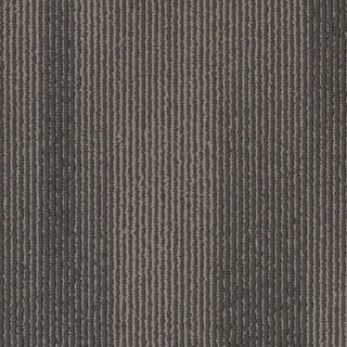 Picture of Philadelphia Commercial by Shaw - SP785 18 x 36 Starry