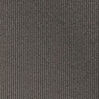 Picture of Philadelphia Commercial by Shaw - SP786 18 x 36 Starry