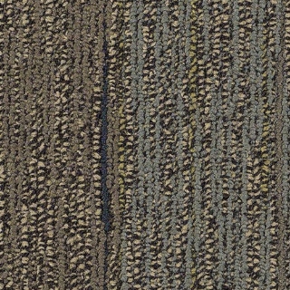 Picture of Philadelphia Commercial by Shaw - SP801 Talk Show