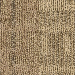 Picture of Philadelphia Commercial by Shaw - SP802 Bond