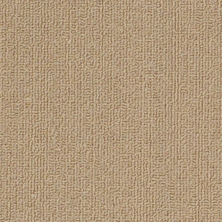 Picture of Philadelphia Commercial by Shaw - SP918 Autumn Gold