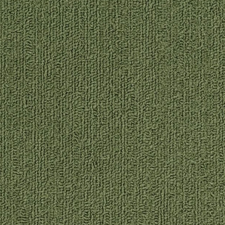 Picture of Philadelphia Commercial by Shaw - SP918 Cactus