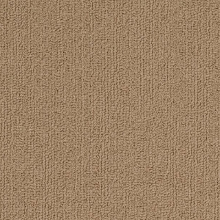 Picture of Philadelphia Commercial by Shaw - SP918 Gilded