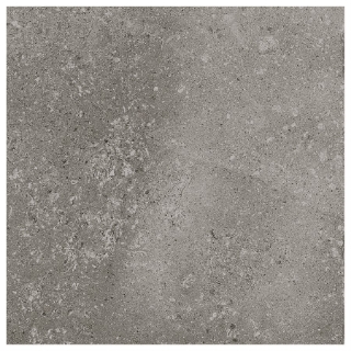 Picture of SOHO Studio Corp - Ages 24 x 24 Fossil