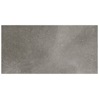 Picture of SOHO Studio Corp - Ages 24 x 48 Fossil