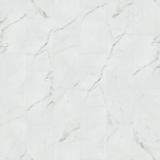 Picture of Shaw Floors - Range 12 x 24 Matte Statuario