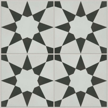 Picture of Shaw Floors - Revival Josefina Onyx