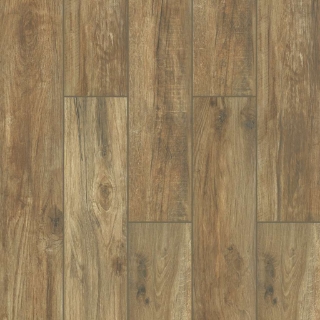 Picture of Shaw Floors - Savannah Honey