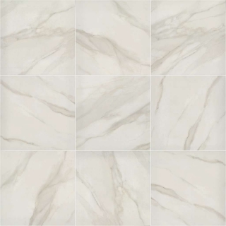 Picture of Shaw Builder - Tranquility 24 x 24 Matte Bianco Covelano