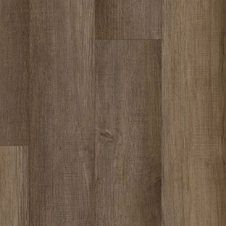 Picture of Aladdin Commercial - Long Bien 4.5 Juneau