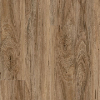 Picture of Aladdin Commercial - Reconnected Tawny