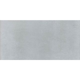 Picture of Daltile - Cohesion 24 x 48 Light Grey Polished