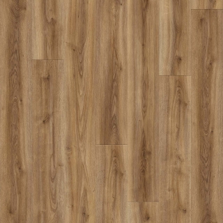 Picture of Engineered Floors - PureGrain Renew Wood Tech Cannons Point
