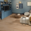 Picture of Shaw Floors - Titan HD Plus Platinum Classic Blonde