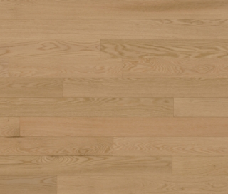 Picture of Lauzon - North American Red Oak 3 Flora