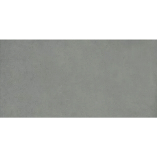 Picture of Milestone - Urban Living 24 x 48 Matte 8mm Jasper