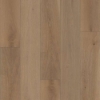 Picture of Shaw Floors - Expressions 9.5 Kinetic
