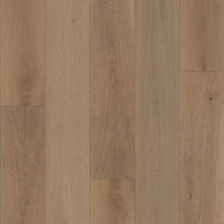 Picture of Shaw Floors - Expressions 9.5 Kinetic