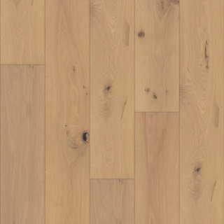 Picture of Shaw Floors - Expressions 9.5 Harmony