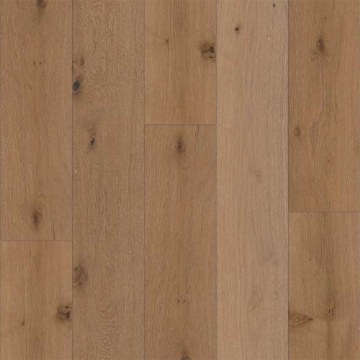 Picture of Shaw Floors - Expressions 9.5 Watercolor