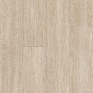 Picture of Happy Feet Intl. - Urban Design 20 Sydney