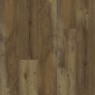 Picture of Happy Feet Intl. - All Star European Oak