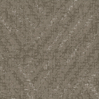 Picture of Shaw Contract - Chisel Clay