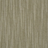Picture of Shaw Floors - Align Bisque