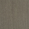 Picture of Shaw Contract - Earth Tone Iroka