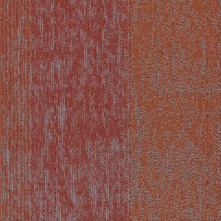 Picture of Shaw Contract - Arrange Golden Gate