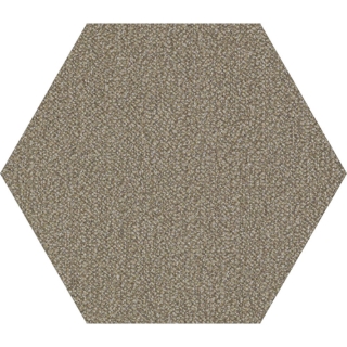 Picture of Shaw Contract - Plane Hexagon Tan