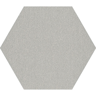 Picture of Shaw Contract - Plane Hexagon Titanium