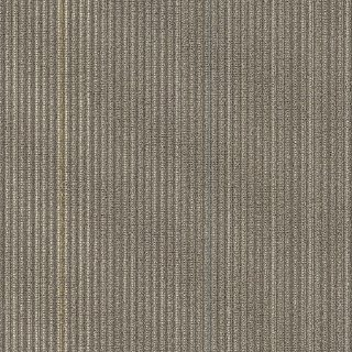 Picture of Shaw Contract - Disperse Road Trip