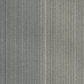 Picture of Shaw Contract - Disperse Passport