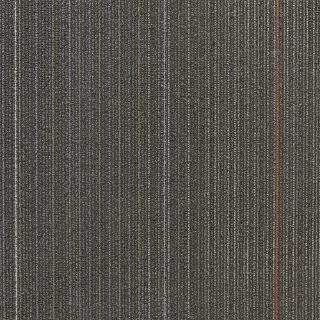 Picture of Shaw Contract - Disperse Routes