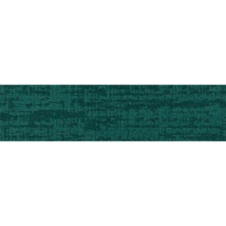 Picture of Shaw Contract - Establish Vivid