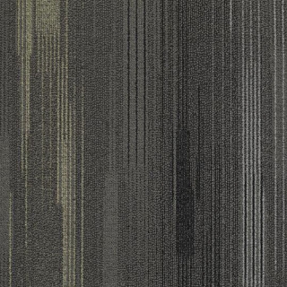 Picture of Shaw Contract - Visible Equinox