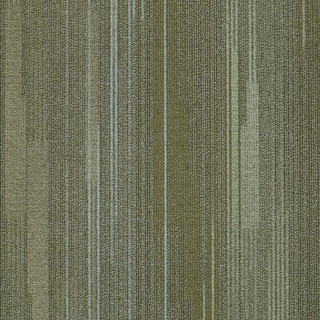 Picture of Shaw Contract - Visible Aurora