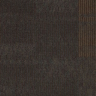 Picture of Shaw Contract - Color Play Copper Frost