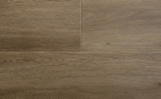 Picture of Audacity - Audacity One Darby